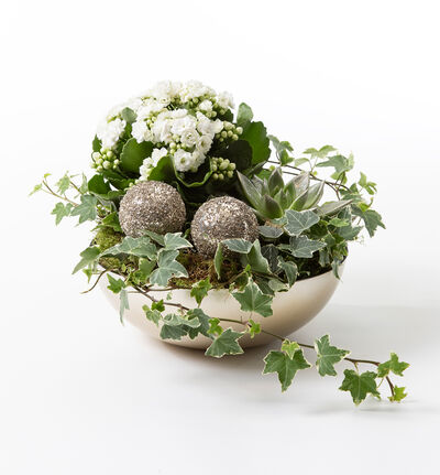 Julegruppe allergivennlig hvit Julegruppe allergivennlig hvit